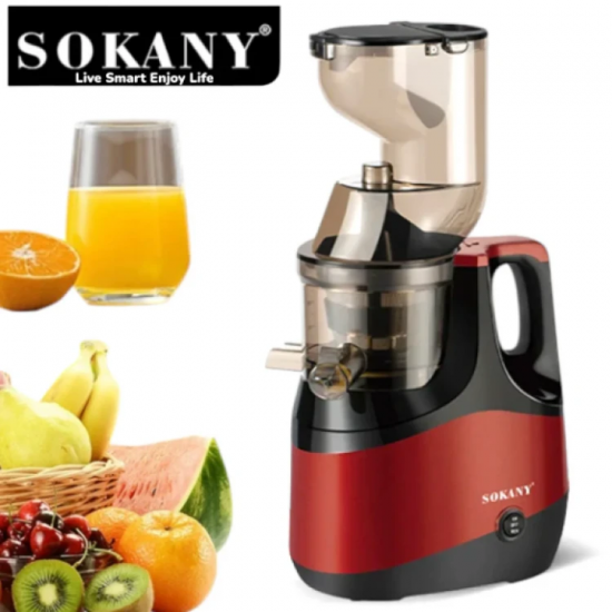 Επαγγελματικός αποχυμωτής S SK-01005 800W